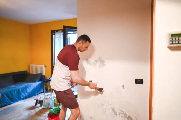 Best Mold Damage Repair  in Junction City, KY